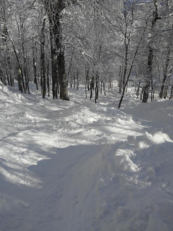Mont Owl's Head - De bonnes conditions de glisse, damé très durable