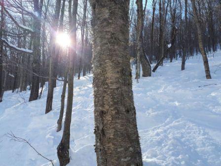 Jay Peak - Des conditions de neige étaient presque parfaites.