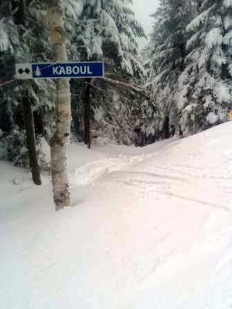 Mont Owls Head - Glisse silencieuse sur un tapis de poudreuse damée,