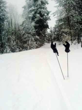Mont Owls Head - Glisse silencieuse sur un tapis de poudreuse damée,