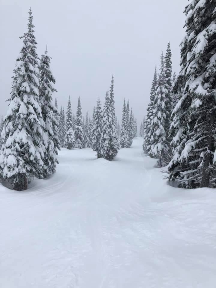 Sun Peak - B.C. - Wow! Une poudreuse légère tellement belle