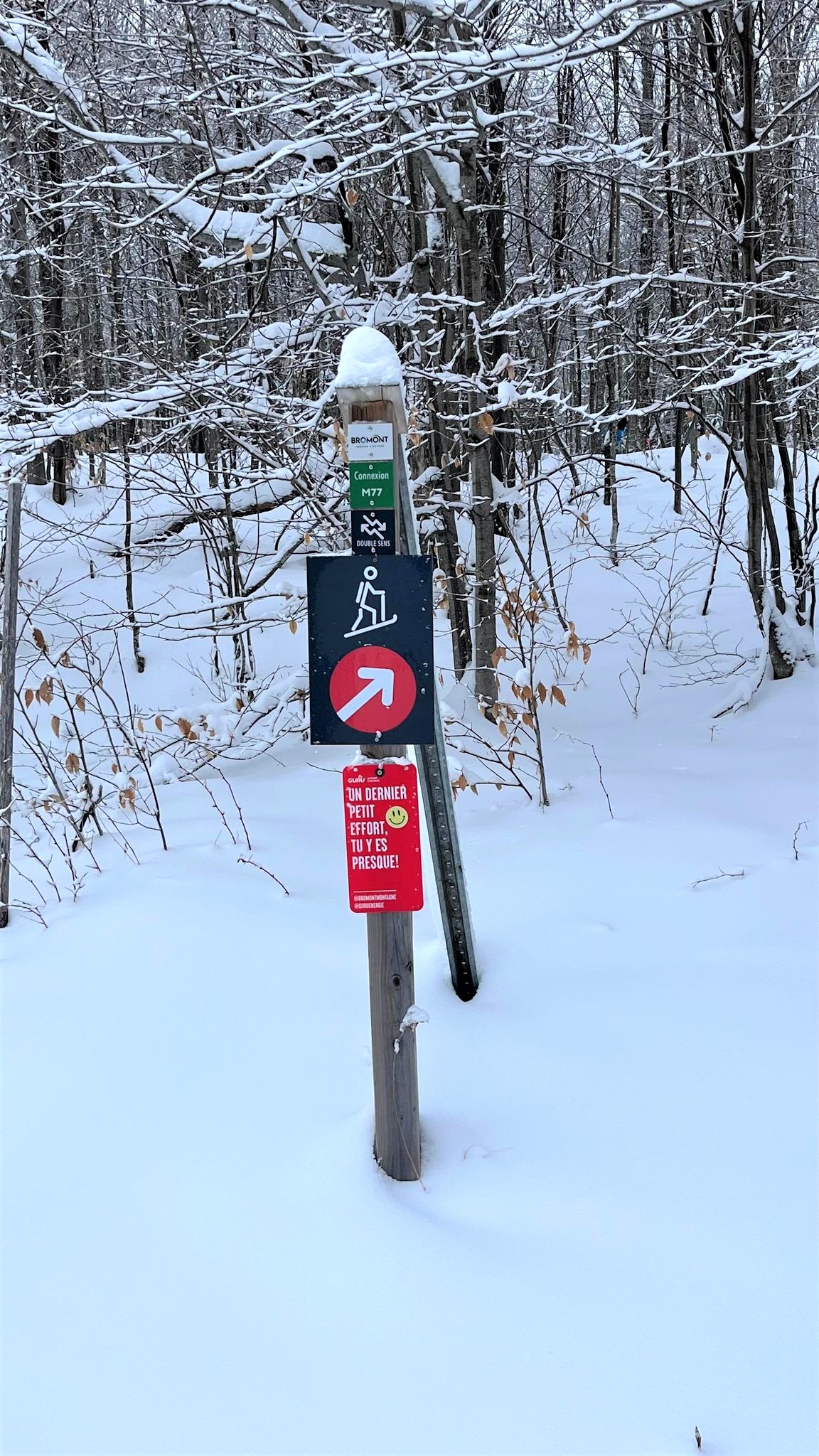 Bromont, montagne d'expériences - Magnifique journée en rando alpine