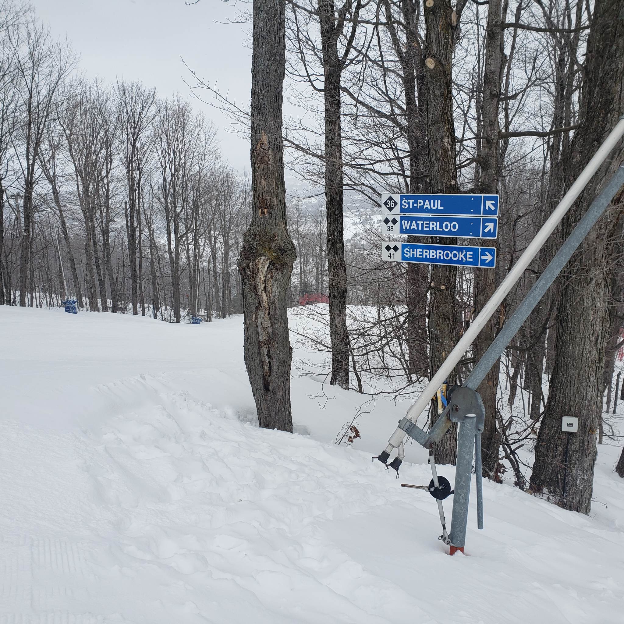 Bromont, montagne d'expériences -  Une belle journée et bonne conditions