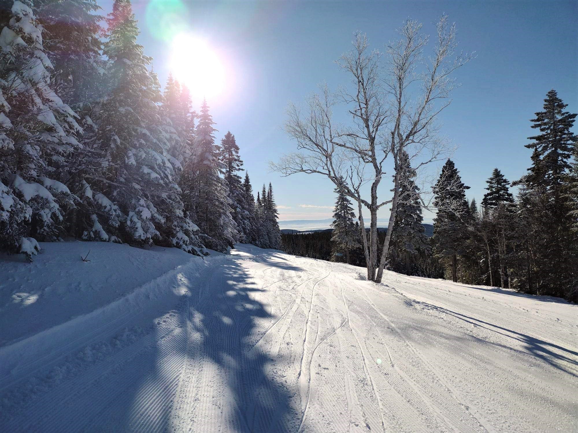 Mont Grand-Fonds - Ça commençait sur un beau corduroy