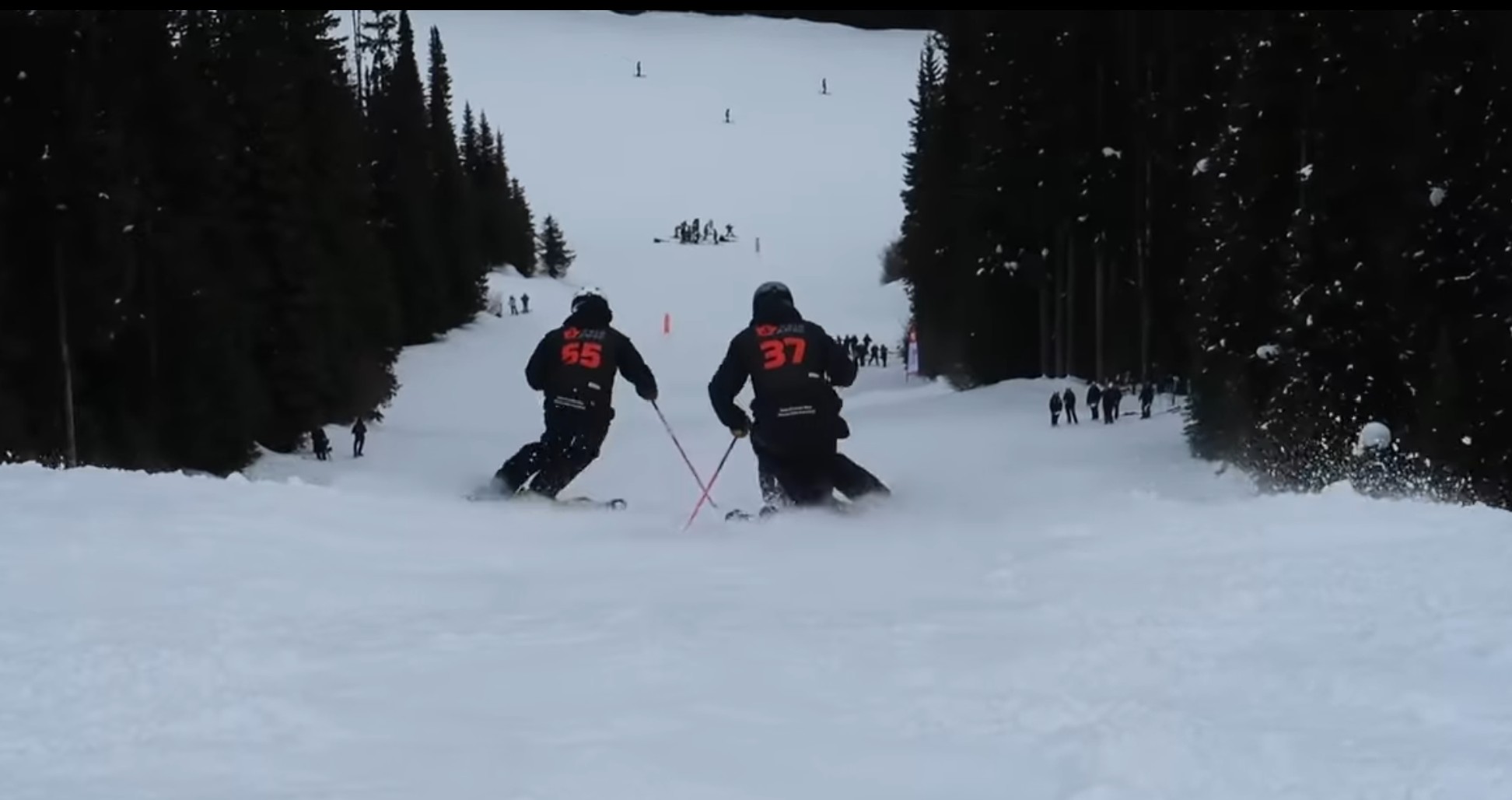 CSIA AMSC - Voici les représentant du Québec au prochain interski