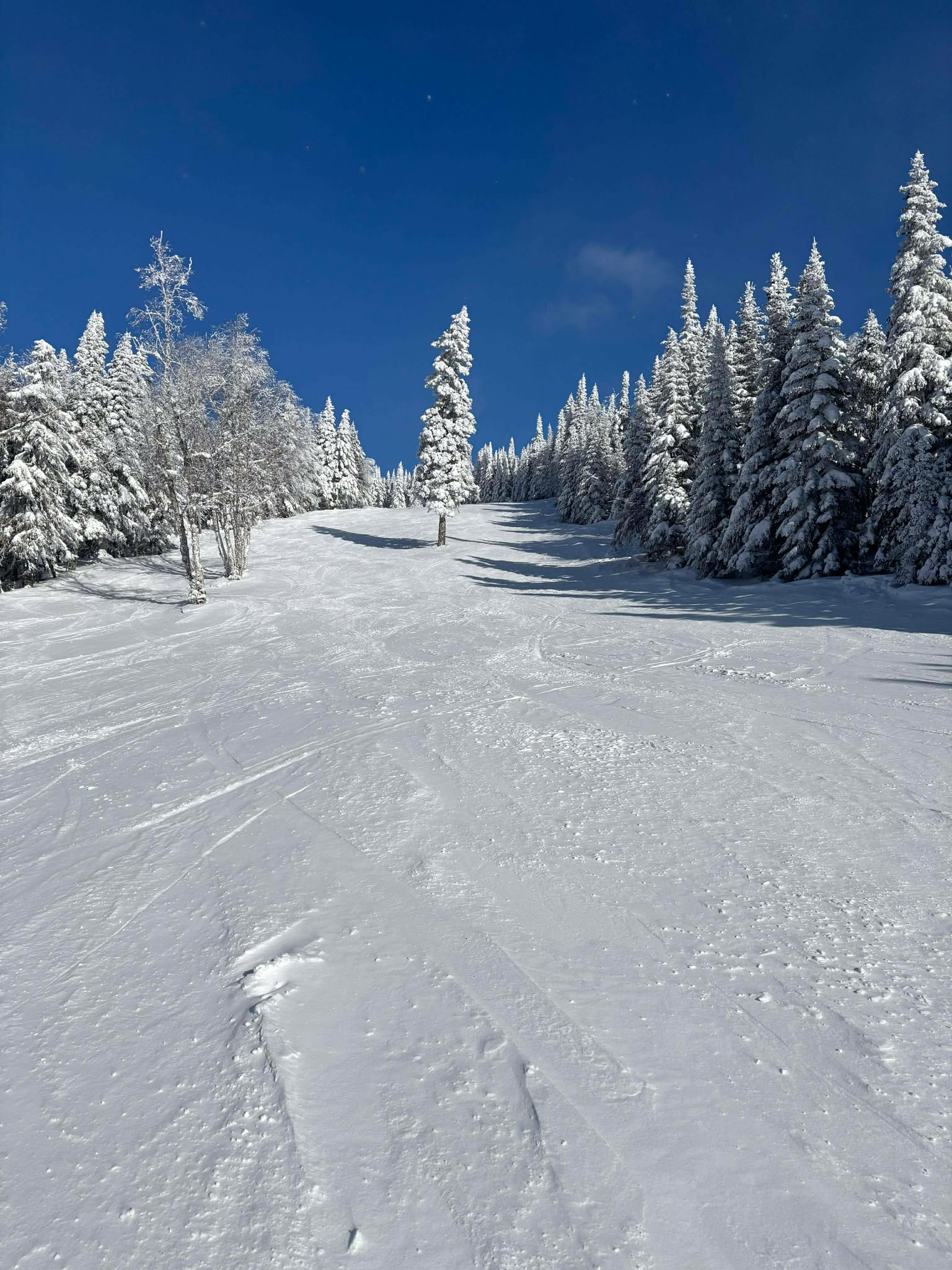 Grand-Fonds - Parfait pour profiter pleinement d'une magnifique journée Grand-Fonds - Parfait pour profiter pleinement d'une magnifique journée