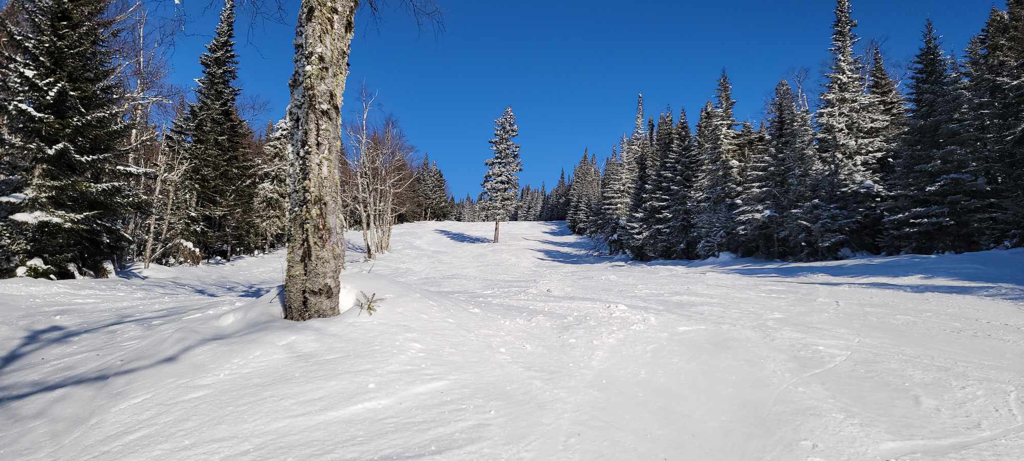 Mont Grand-Fonds - Une radieuse et un nouveau remonte-pente