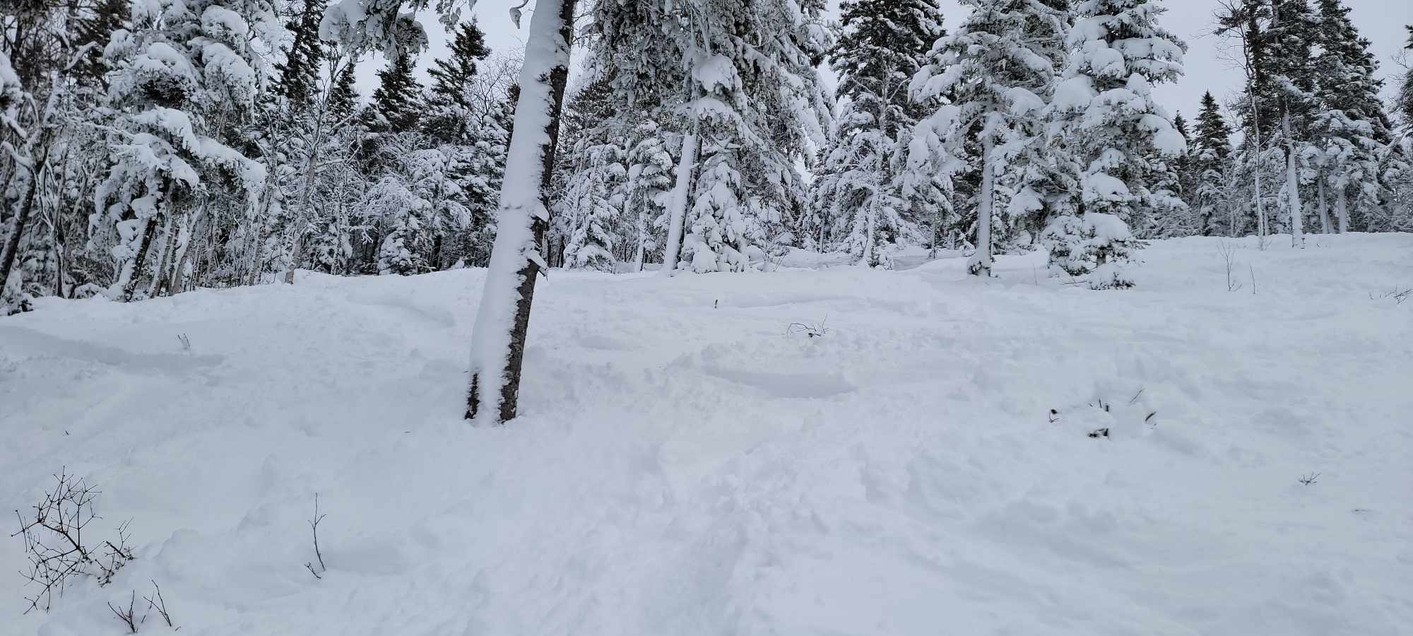 Mont Grand-Fonds - La destination ski de Charlevoix