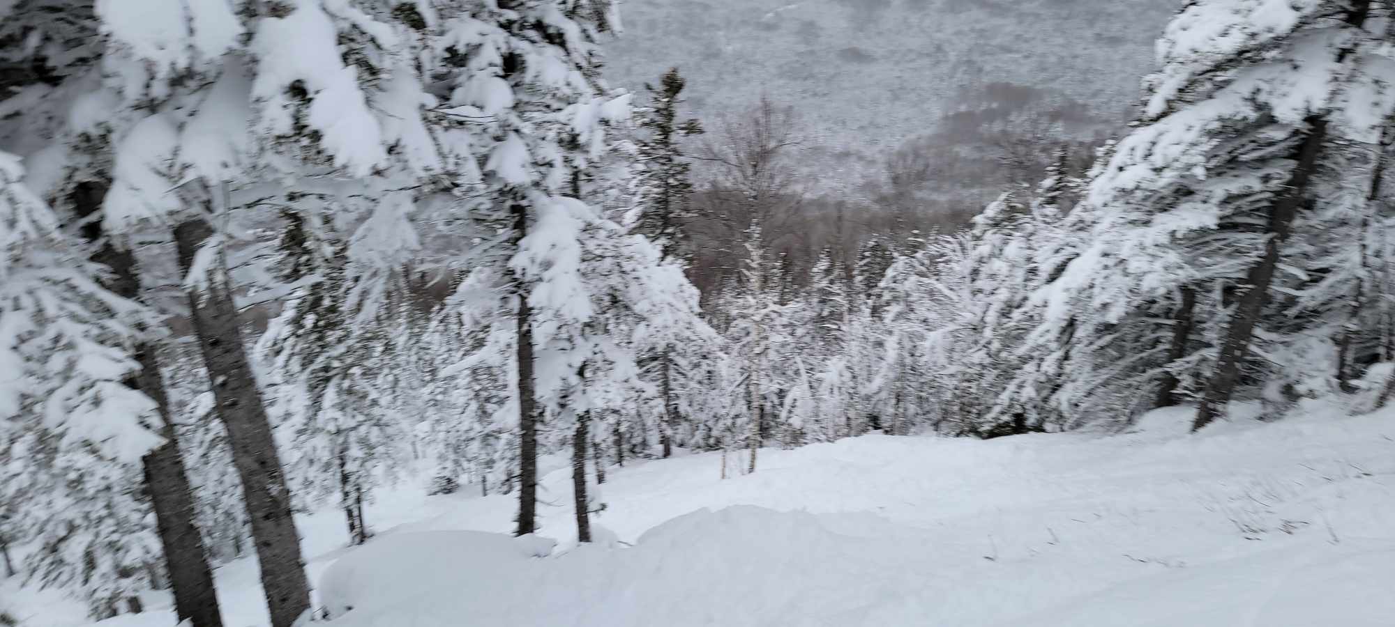 Mont Grand-Fonds - La destination ski de Charlevoix