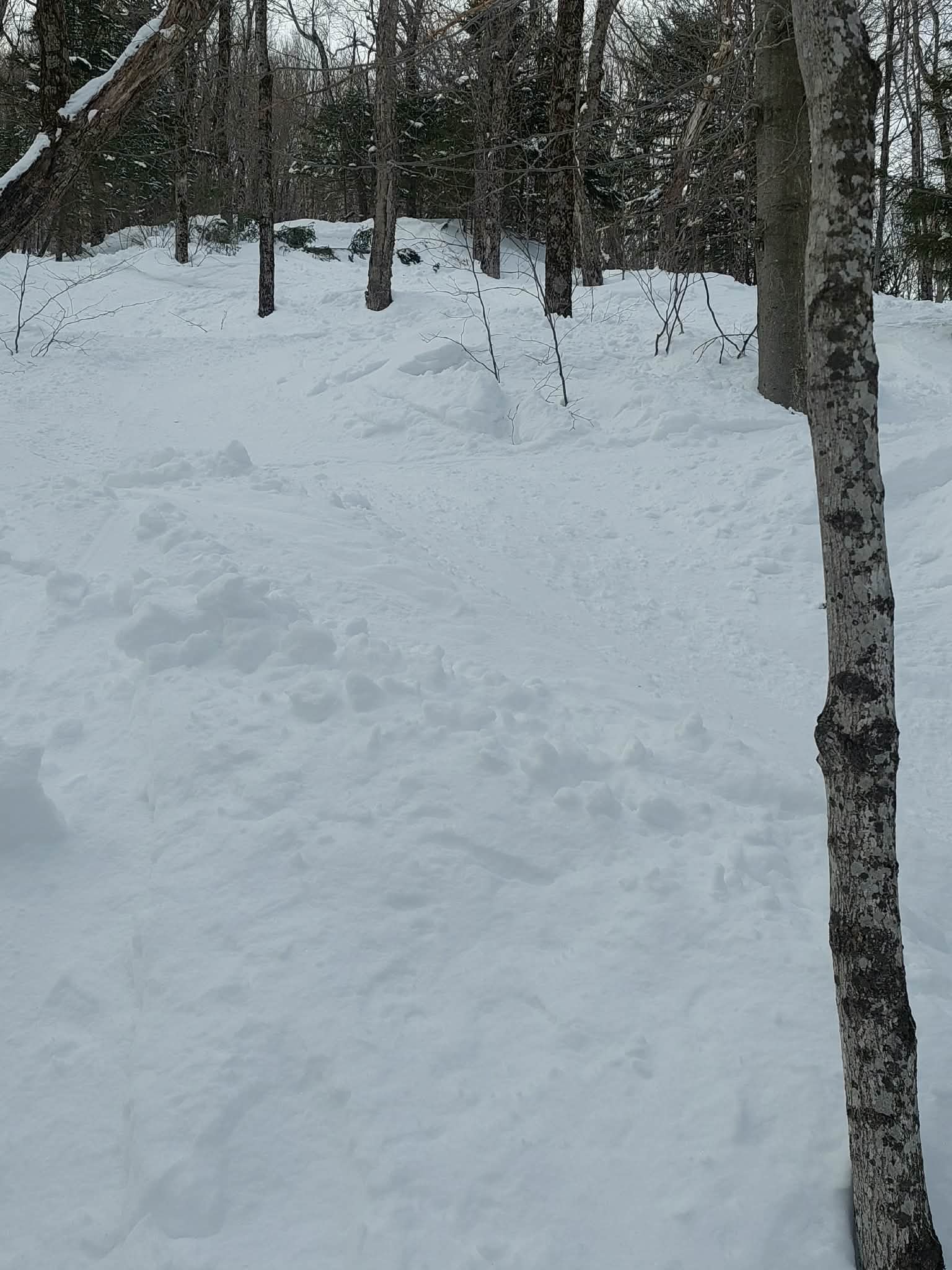 Jay Peak - C’est tout simplement remarquable / It is simply remarkable