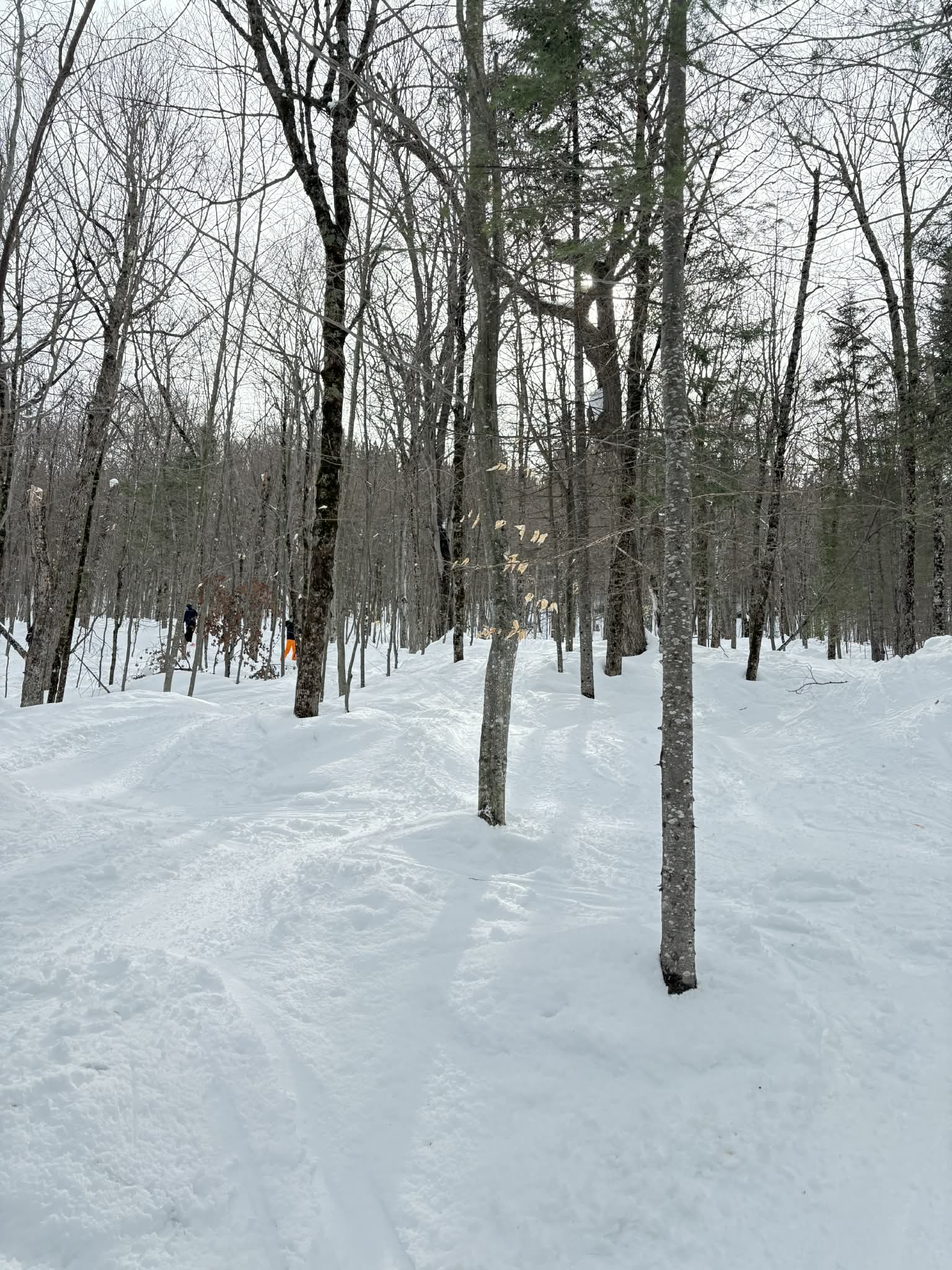 Ski La Réserve - Tout le monde y trouve son compte