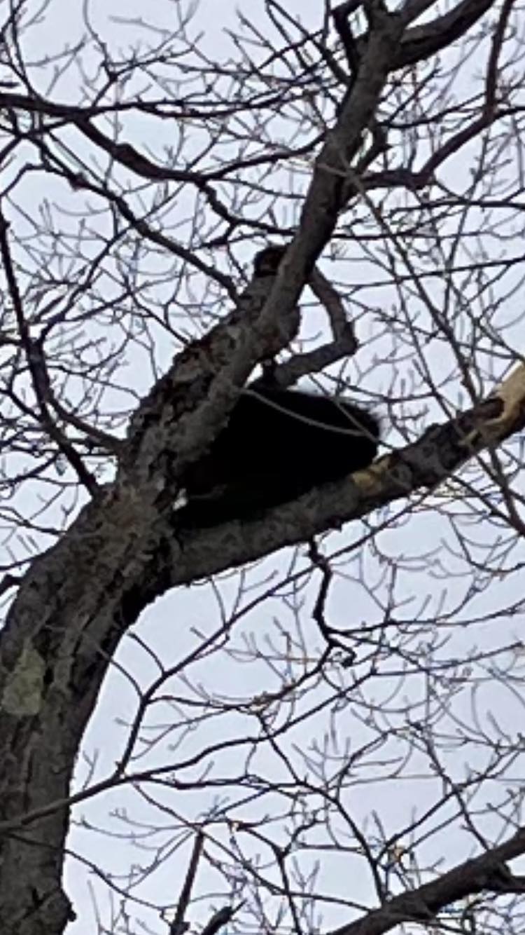 Centre de ski Le Relais - Du plaisir à skier