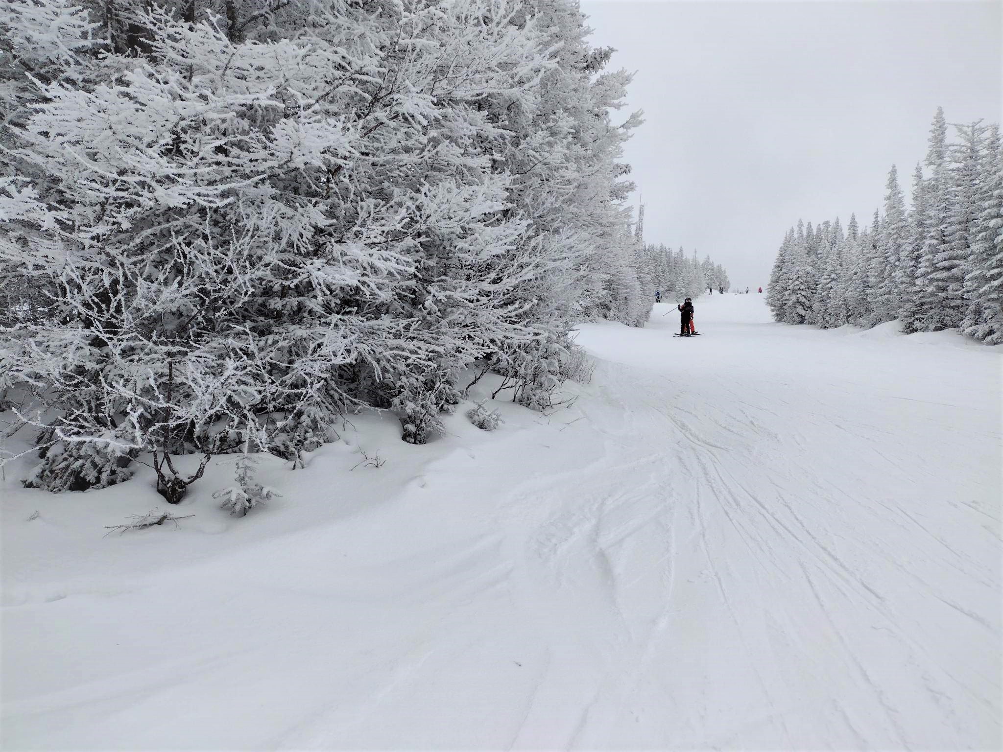 Le Valinouët - Un choix varié pour tout les calibres