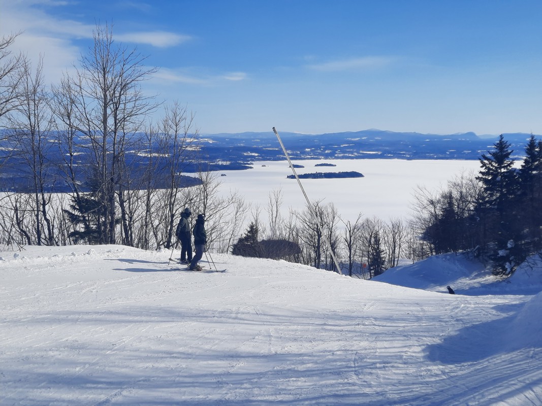 Owl's Head Lily's Leap