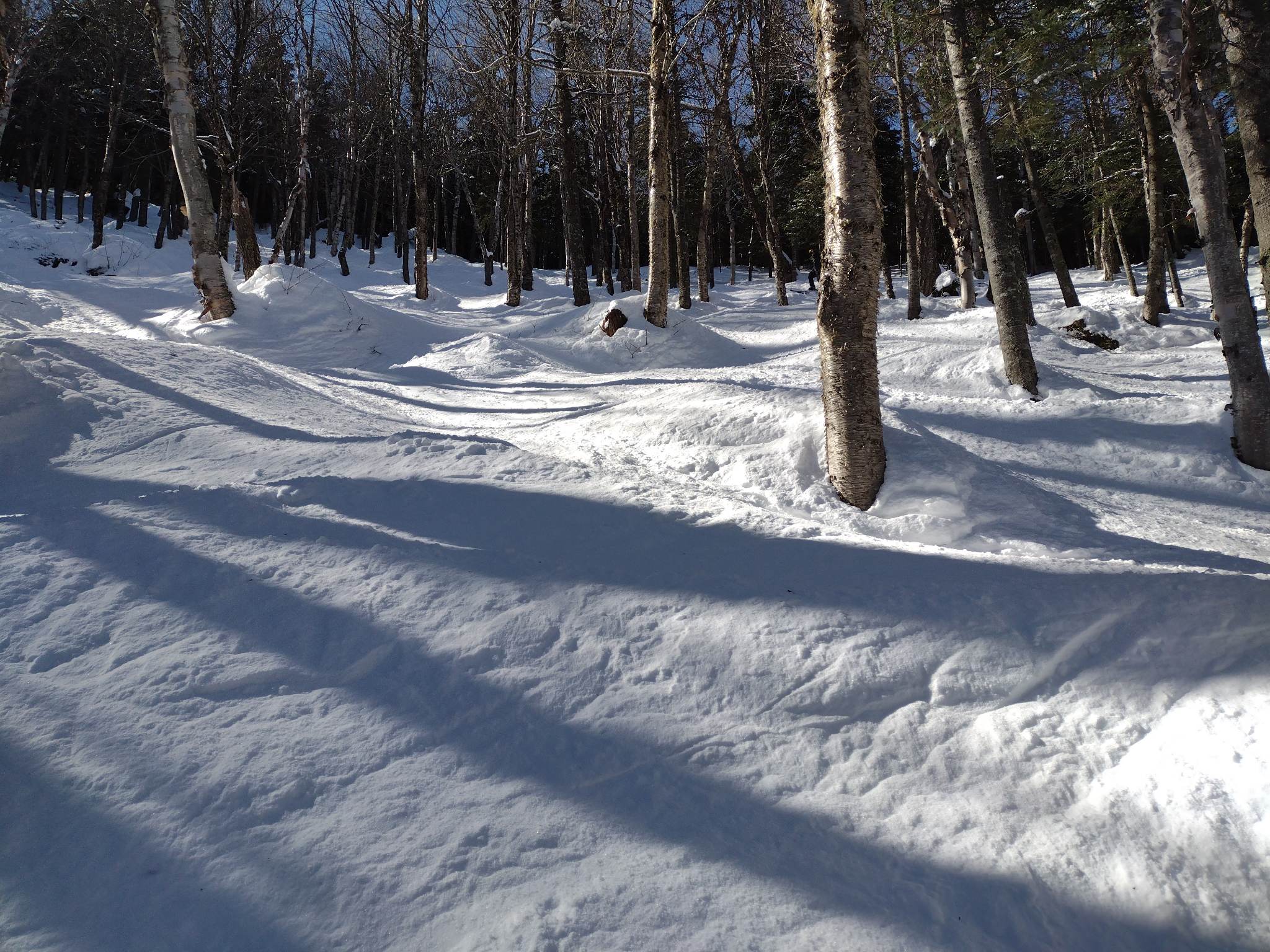 Massif Du Sud - Journée de printemps de la relâche