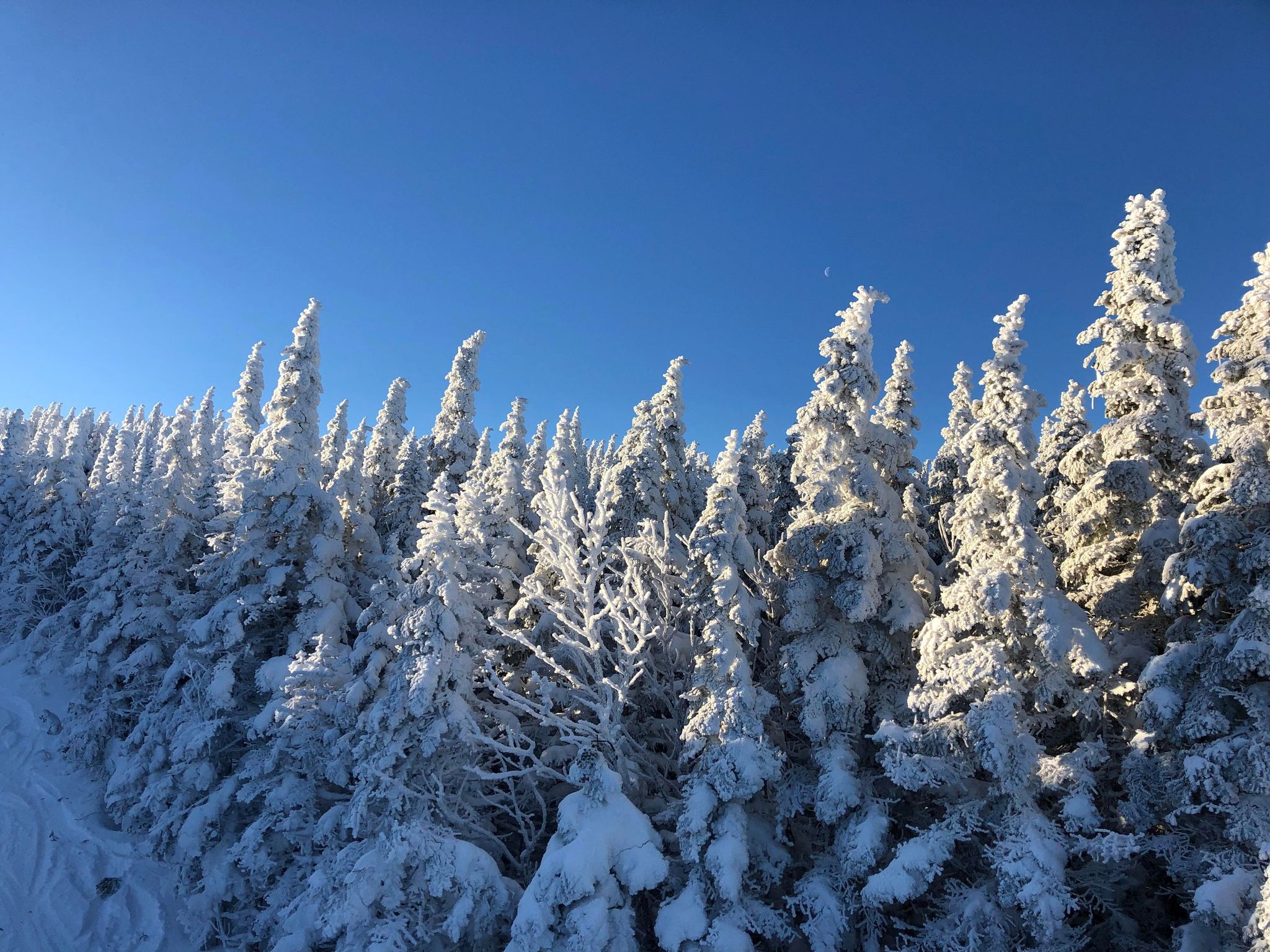 Massif du Sud - Presque irréel...
