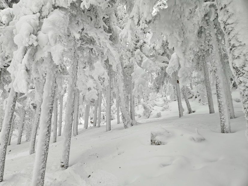 Station touristique Massif du Sud - Des conditions parfaites