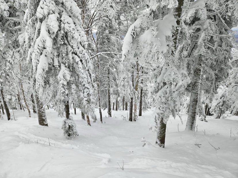 Station touristique Massif du Sud - Des conditions parfaites