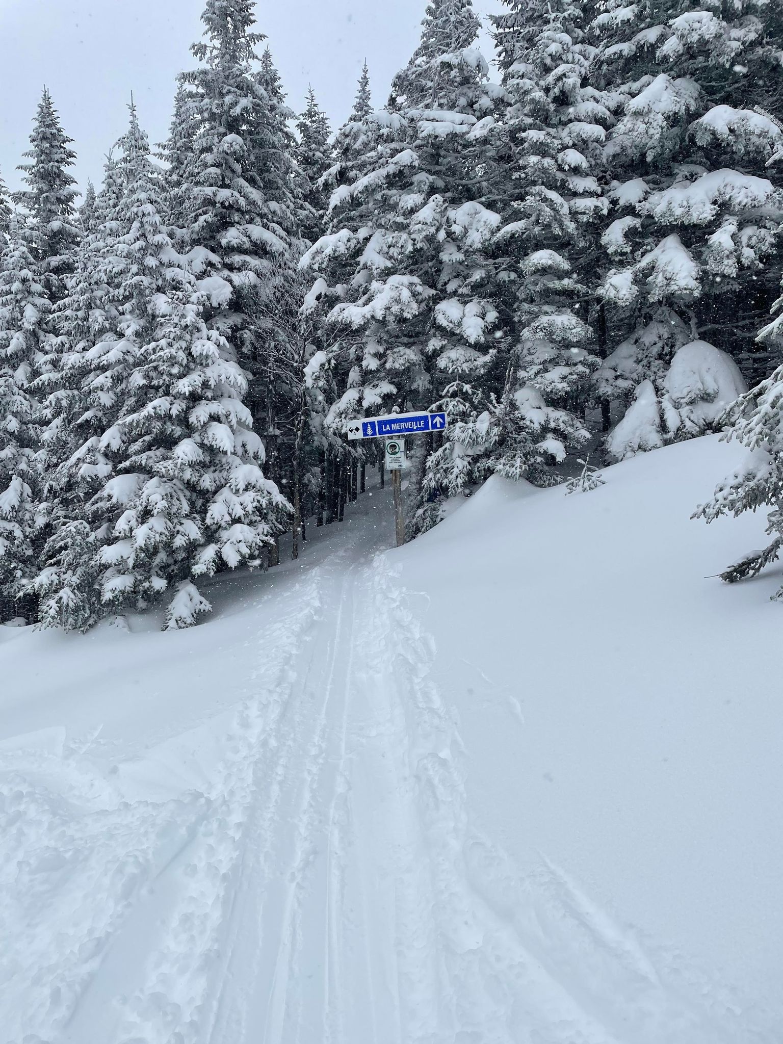 Massif du Sud - 20 cm de belle poudreuse pour la fin de la saison