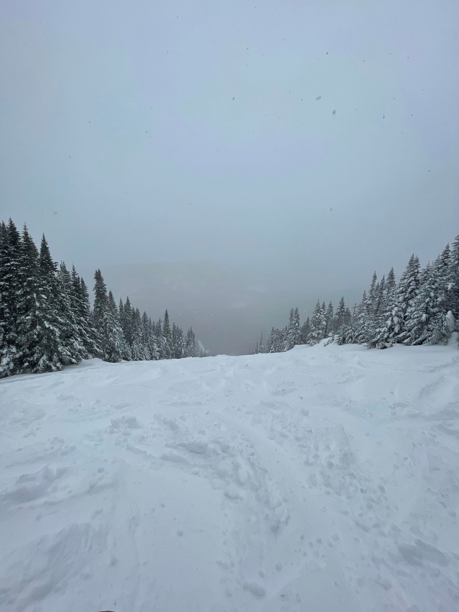 Massif du Sud - 20 cm de belle poudreuse pour la fin de la saison