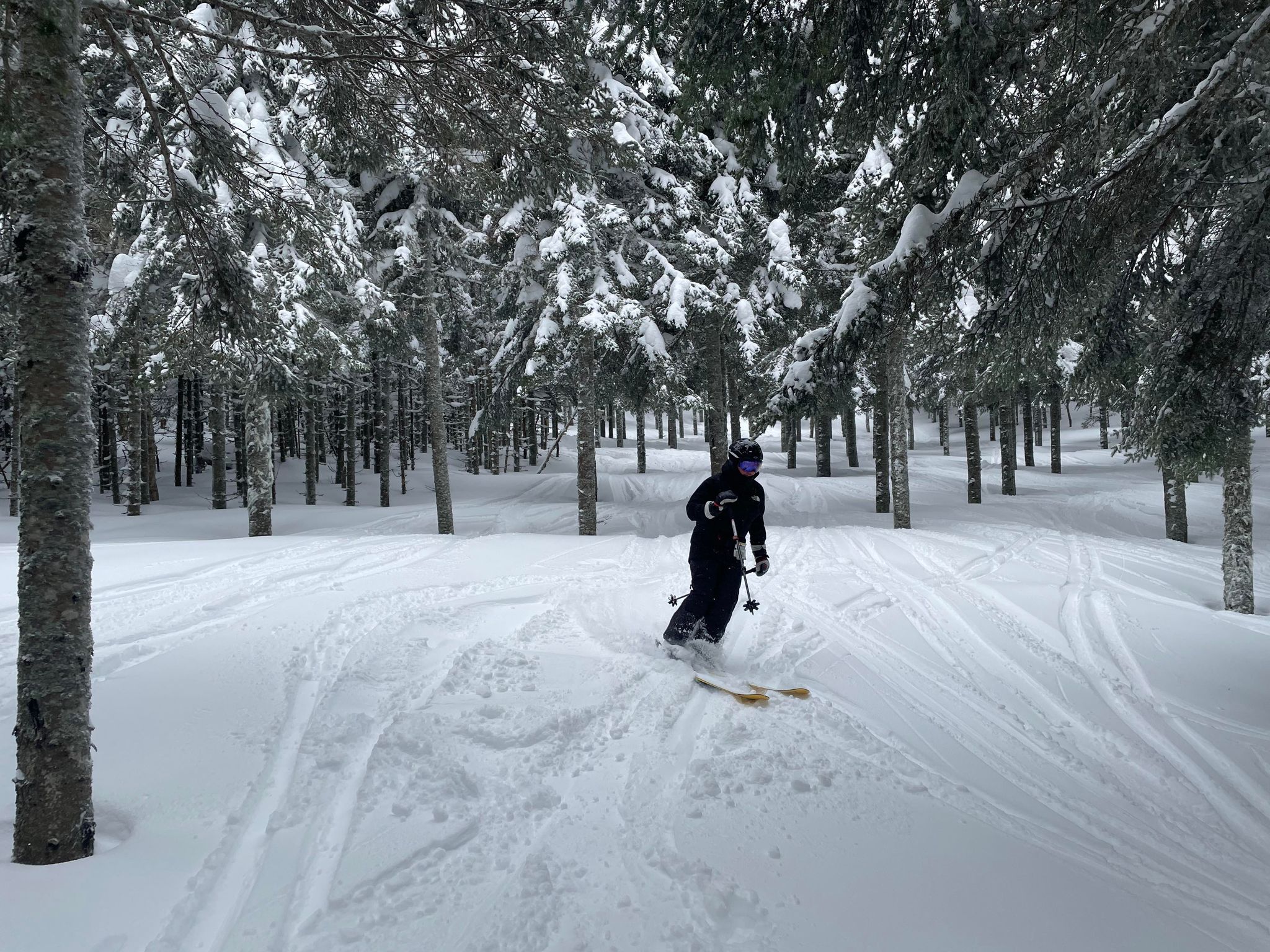 Massif du Sud - 20 cm de belle poudreuse pour la fin de la saison