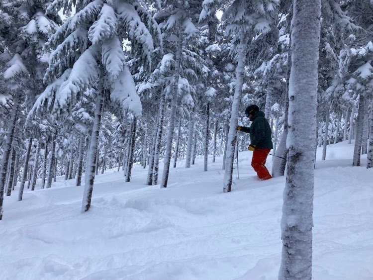 Station touristique Massif du Sud - Powder Day au Massif.