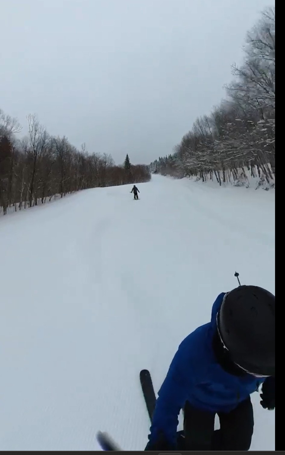 Massif Du Sud - Magnifique journée autant sur piste que dans les bois