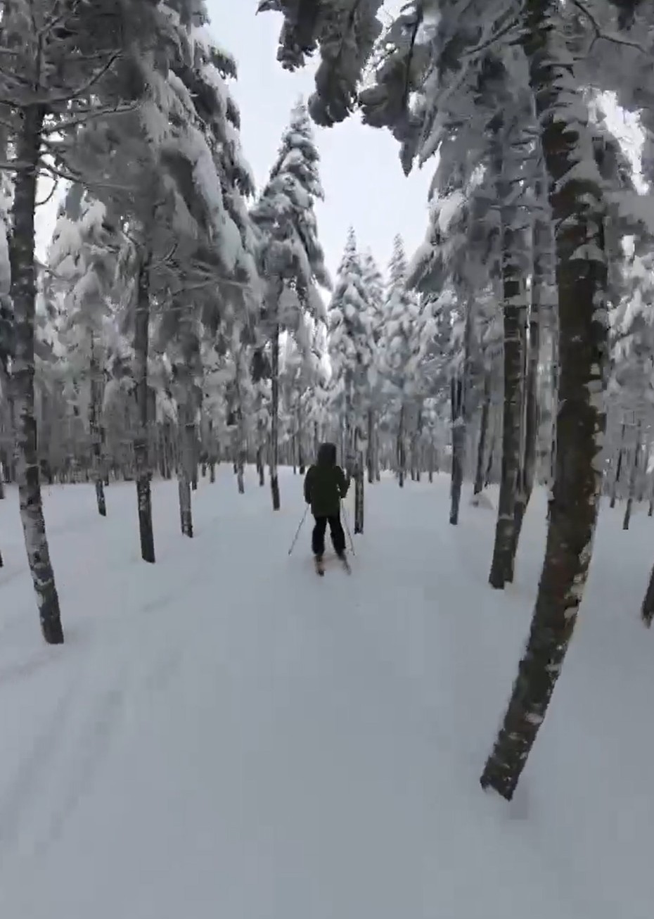 Massif Du Sud - Magnifique journée autant sur piste que dans les bois
