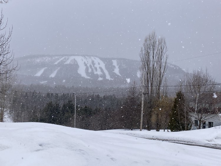 Mont Comi - Station recommandée pour la prolongation du printemps