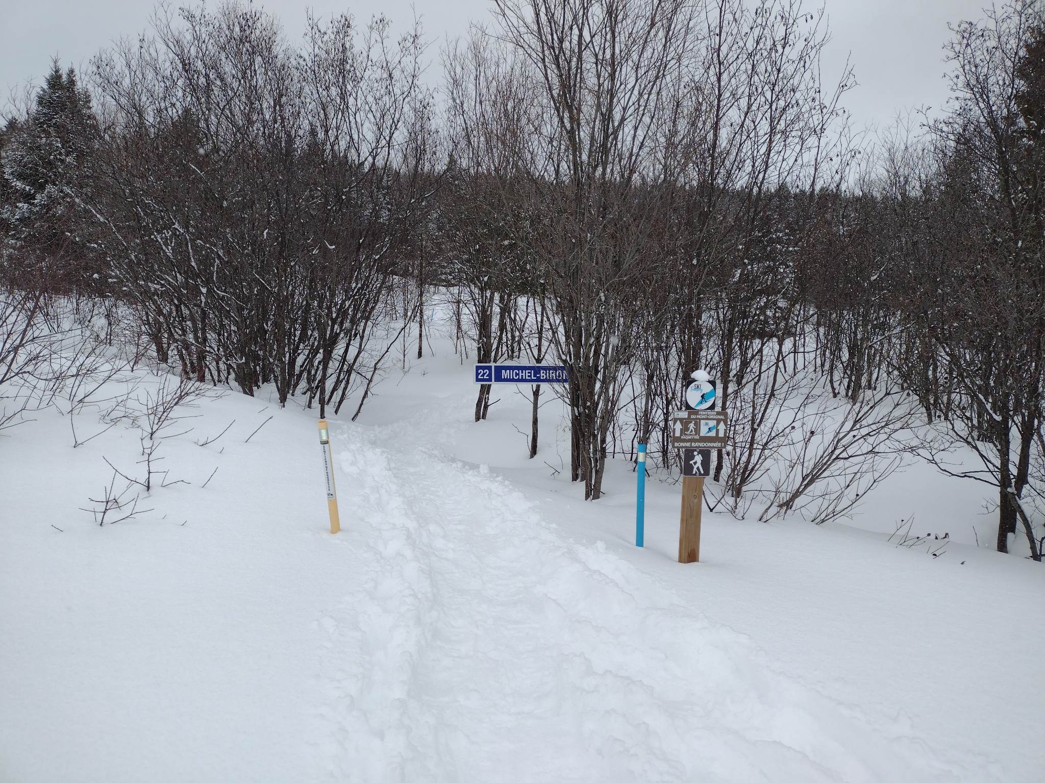 Mont-Orignal - Une généreuse bordée de neige