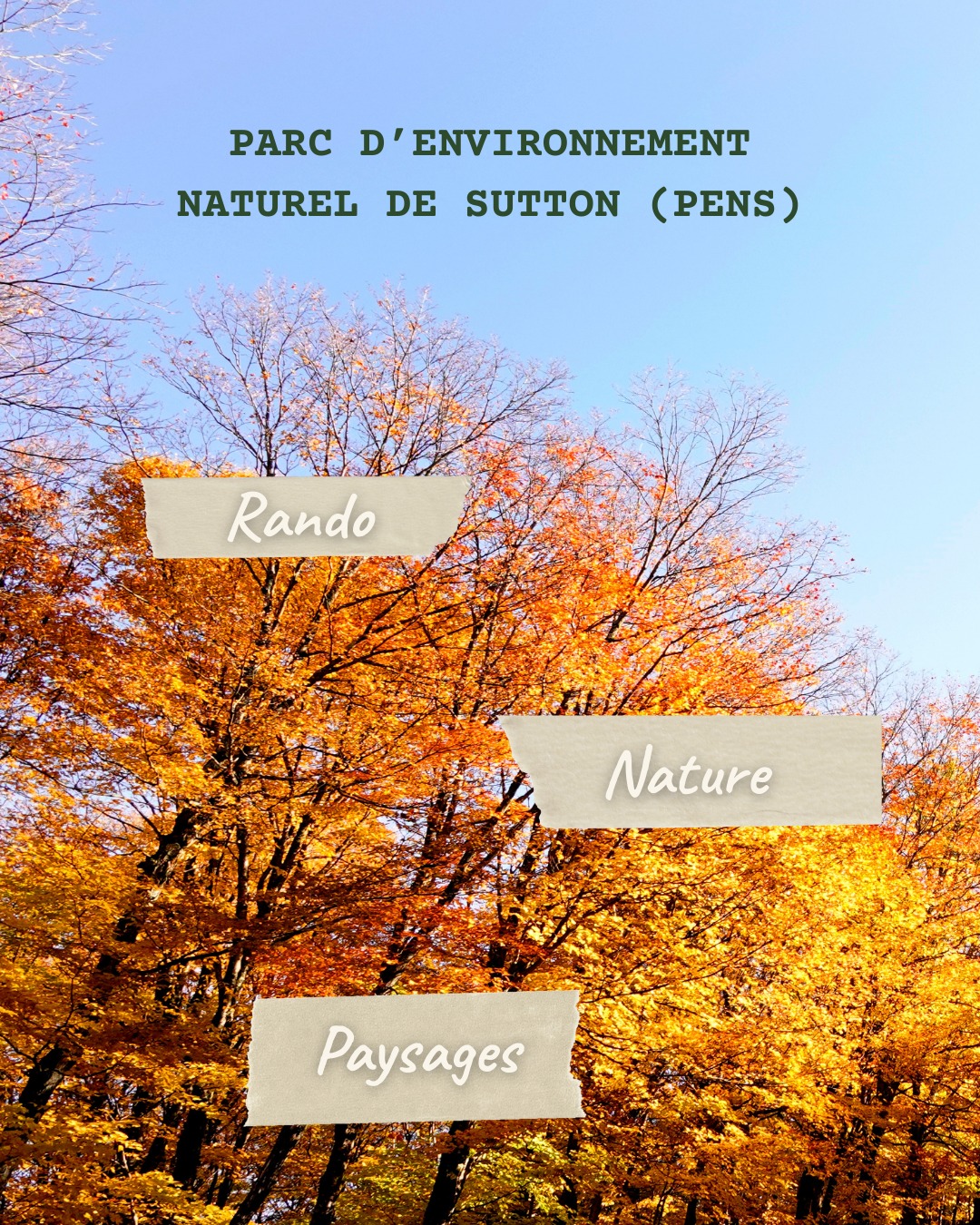 Mont Sutton - Le Festival d'automne de la ville à la montagne