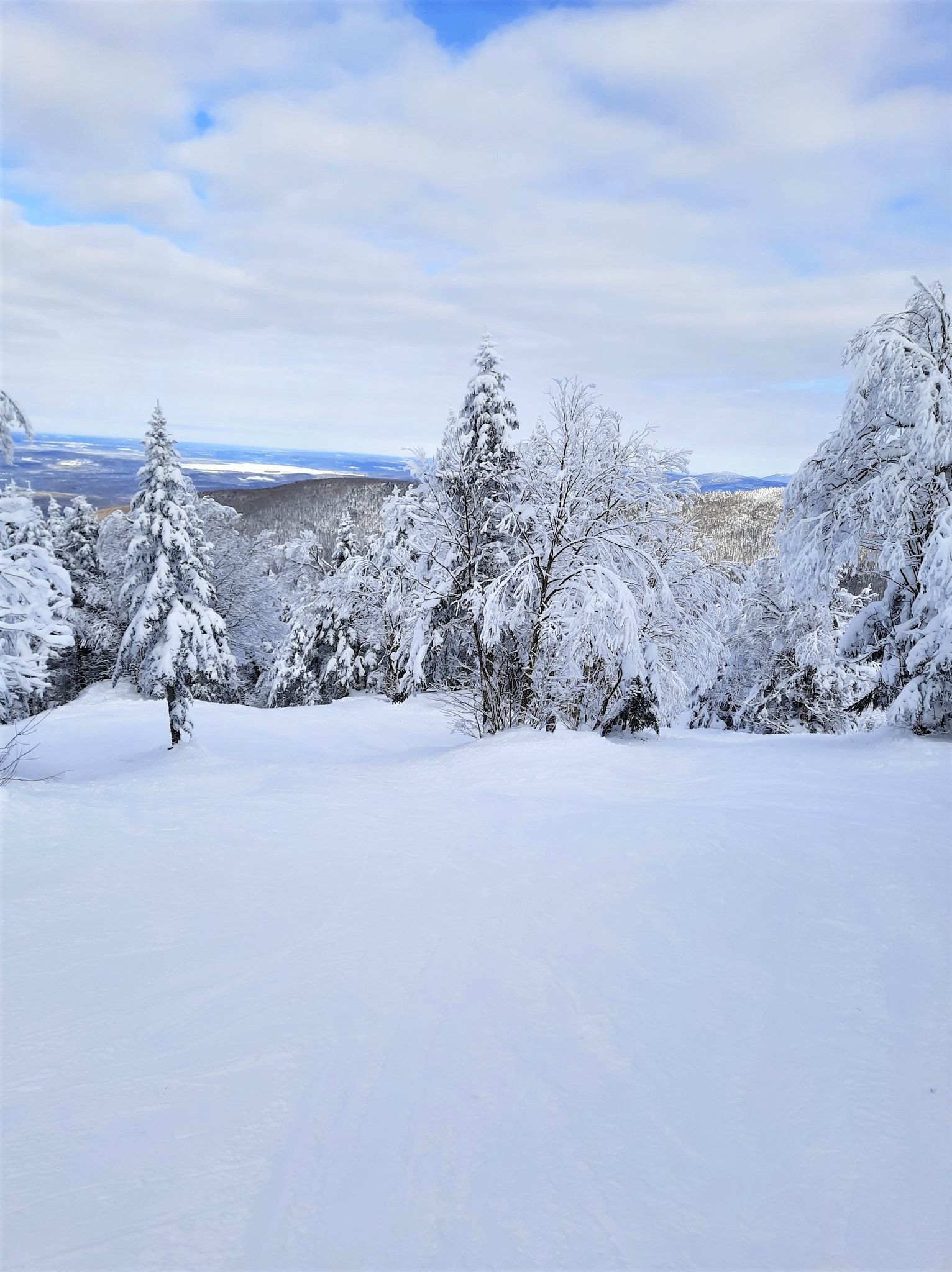 Mon Sutton - L'hiver a repris ses droits...