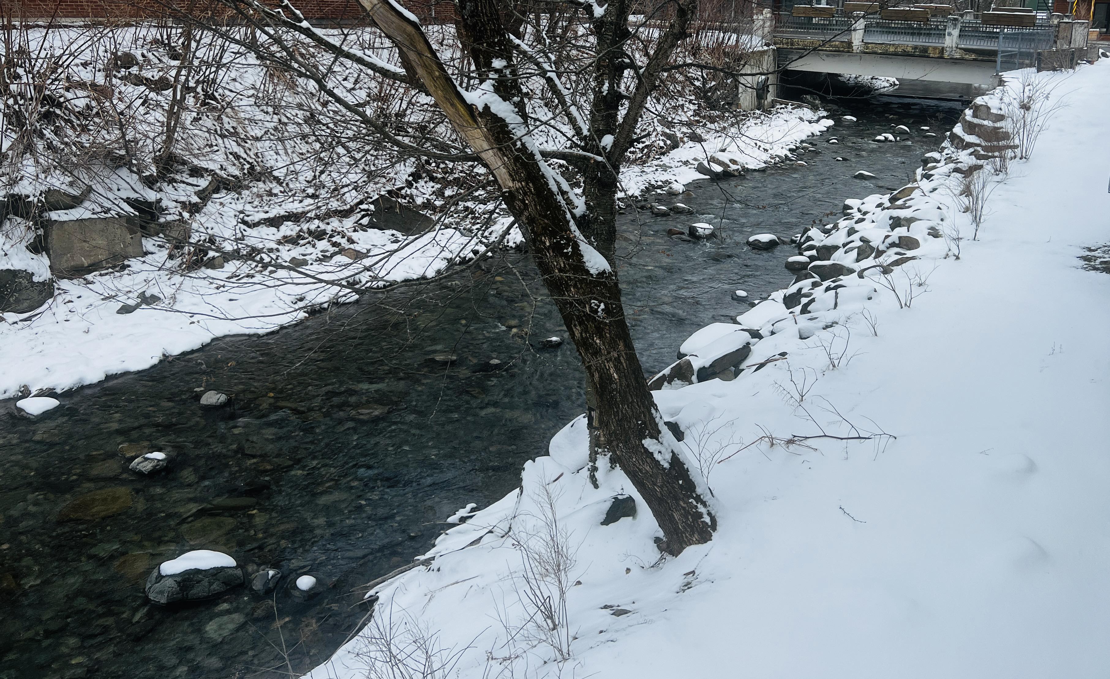 Mont Sutton - On arrive tôt et nous profitons des conditions