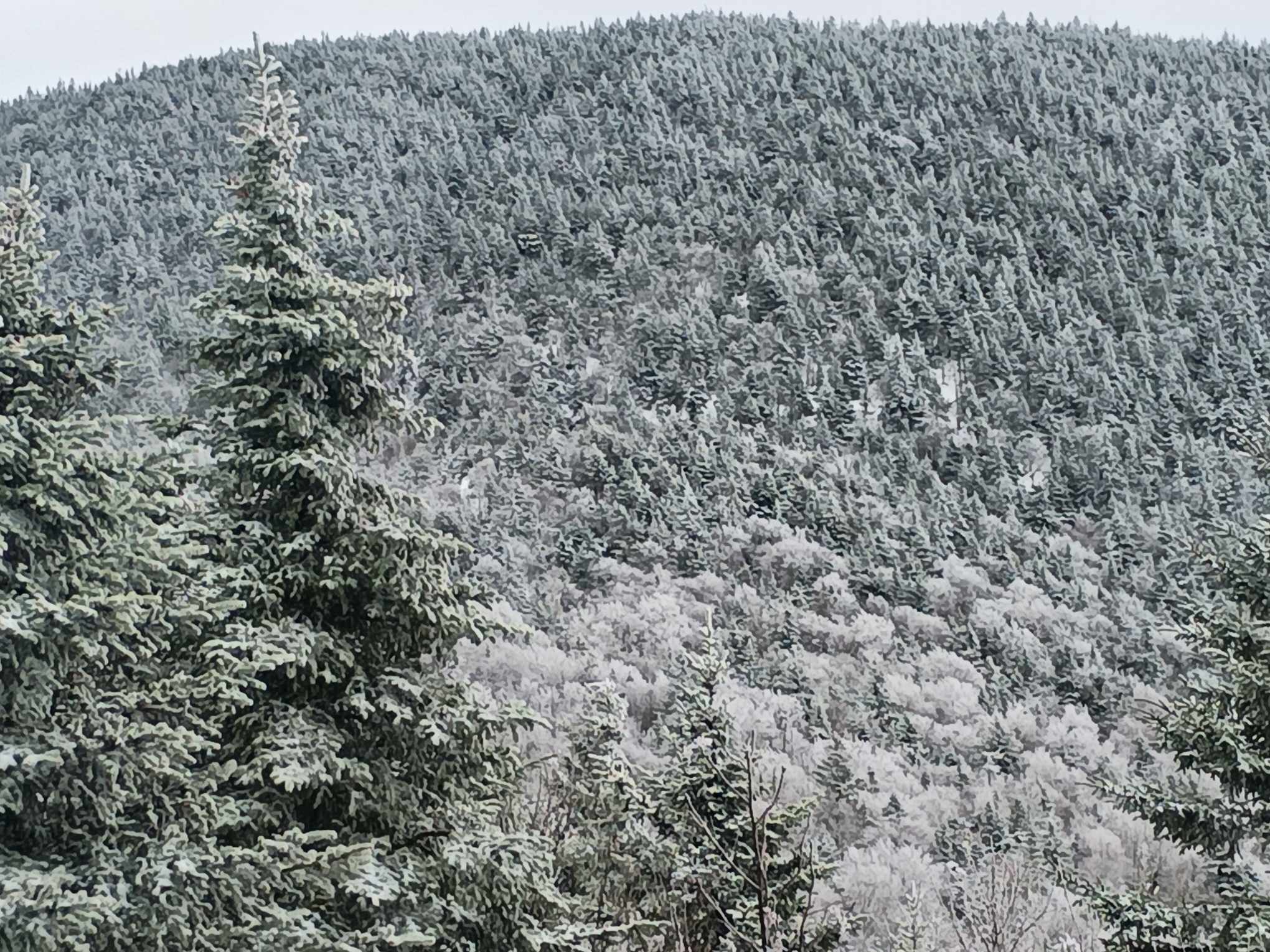 Mont Sutton - Un décor hivernal dans les Cantons de l'Est