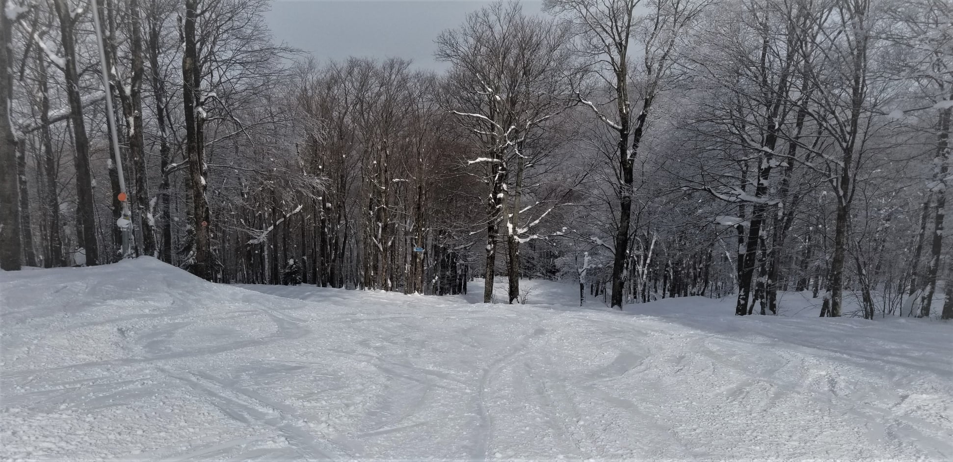 Mont Sutton, une montagne mythique pour ma journée de poudreuse