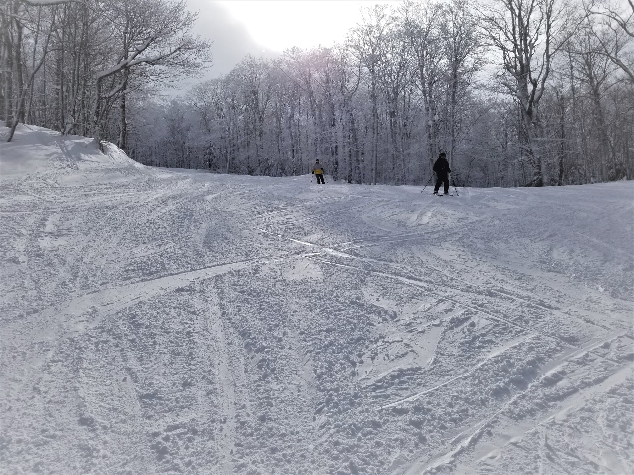 Mont Sutton, une montagne mythique pour ma journée de poudreuse