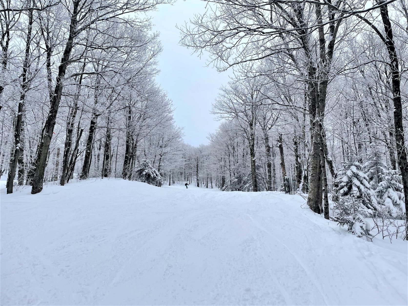 Mont Sutton - Journée idéal pour le ski de poudreuse