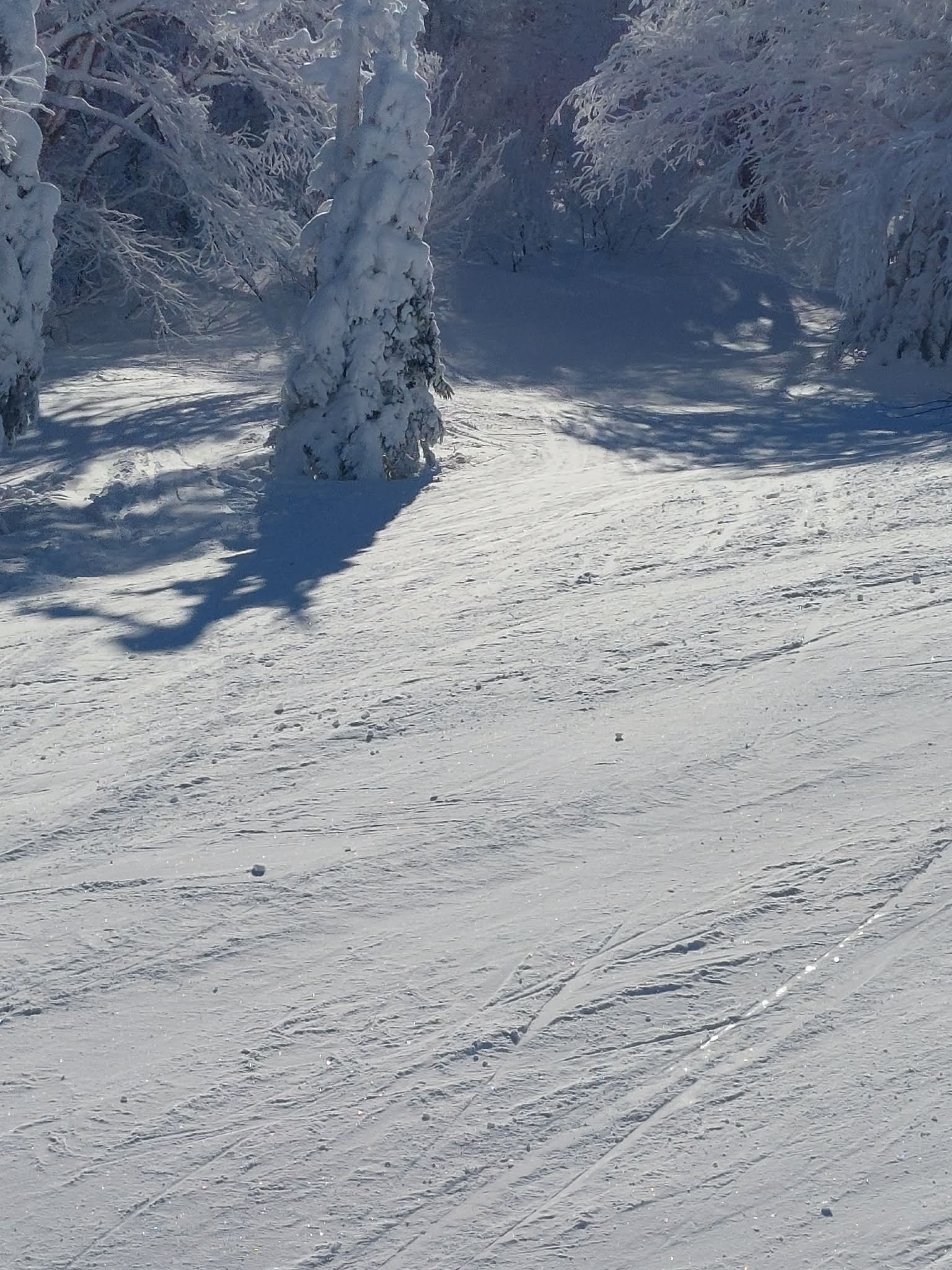 Mont Sutton -  L’ambiance « Purement SUTTON » fait l’unanimité.