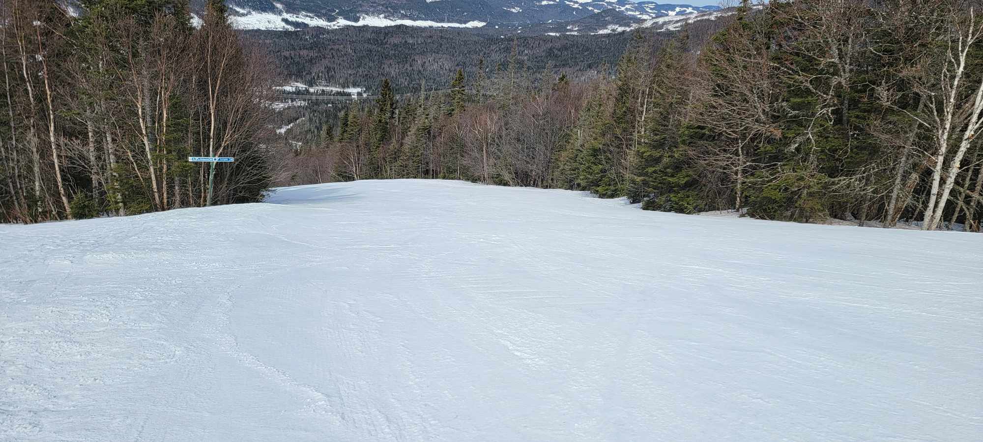 Le Valinouet -  Le printemps fait son apparition à la montagne