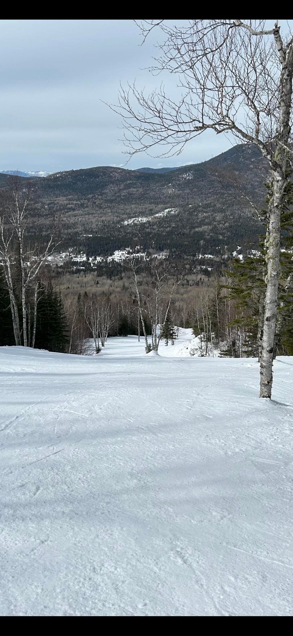 Mont Grand-Fonds - Une montagne exceptionnelle!