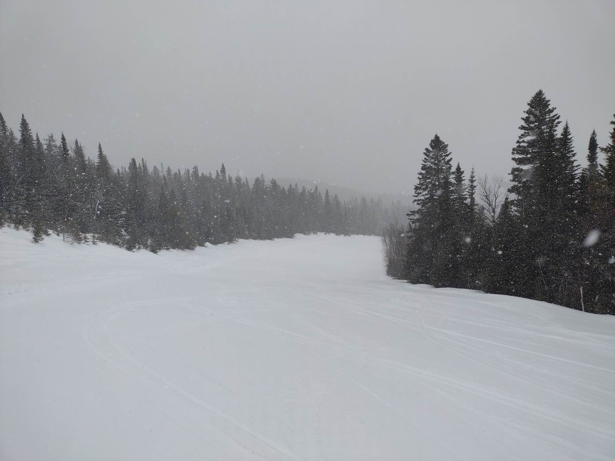 Mont Grand-Fonds - À ne pas manquer et ce n'est pas un poisson
