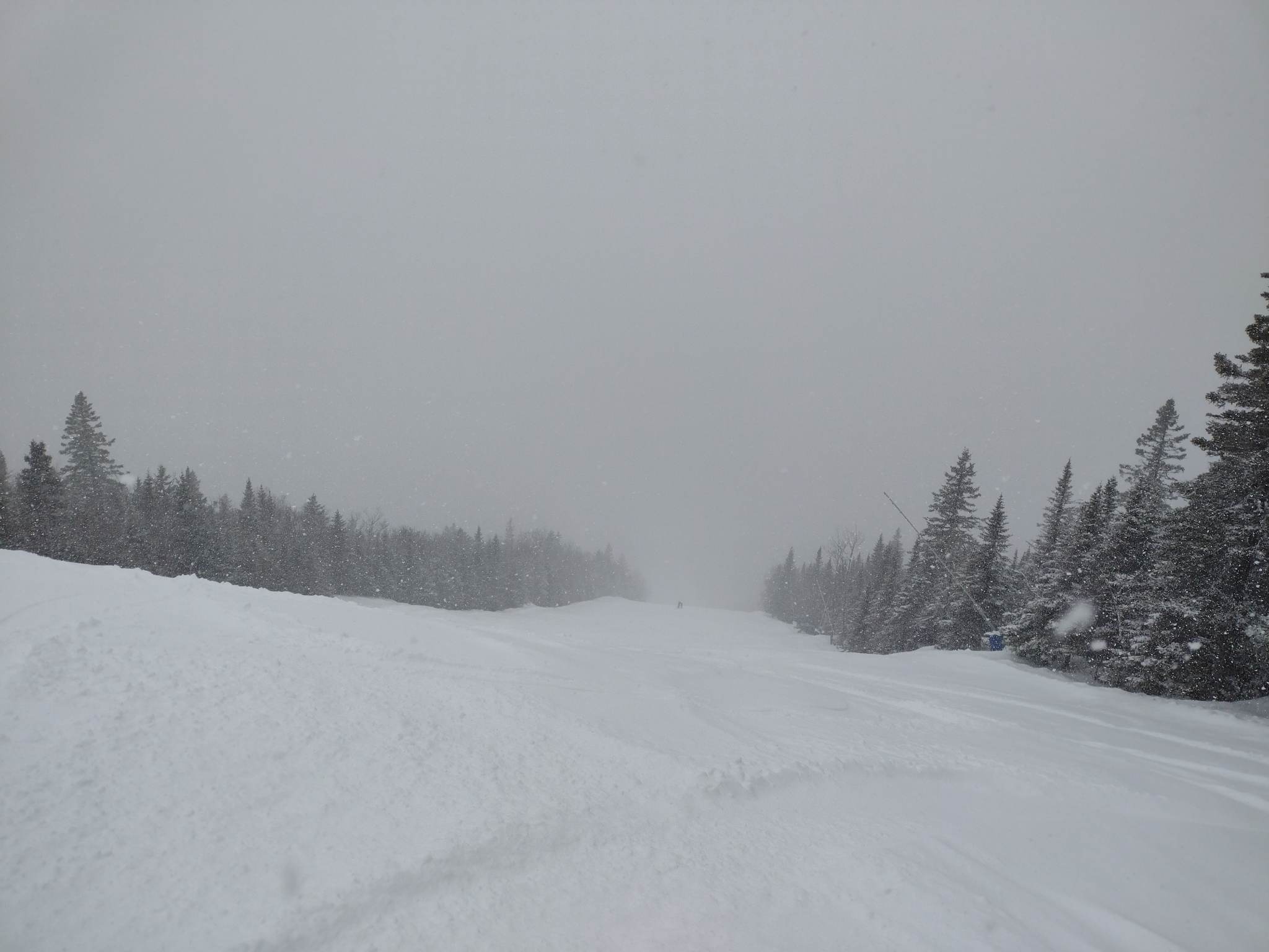 Mont Grand-Fonds - À ne pas manquer et ce n'est pas un poisson