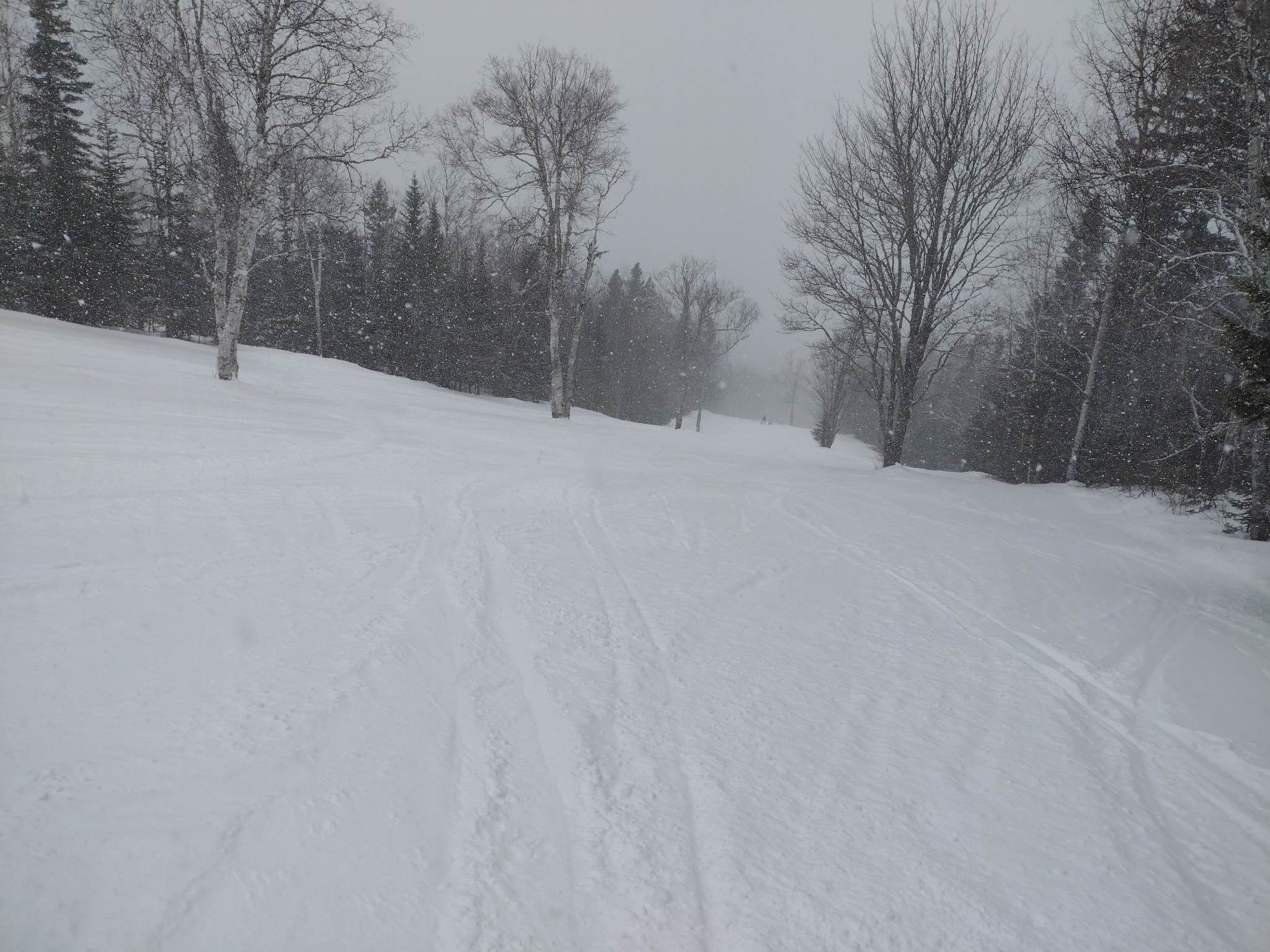 Mont Grand-Fonds - À ne pas manquer et ce n'est pas un poisson