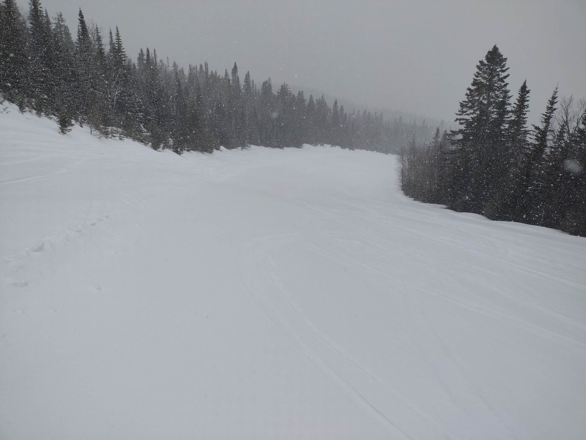 Mont Grand-Fonds - À ne pas manquer et ce n'est pas un poisson
