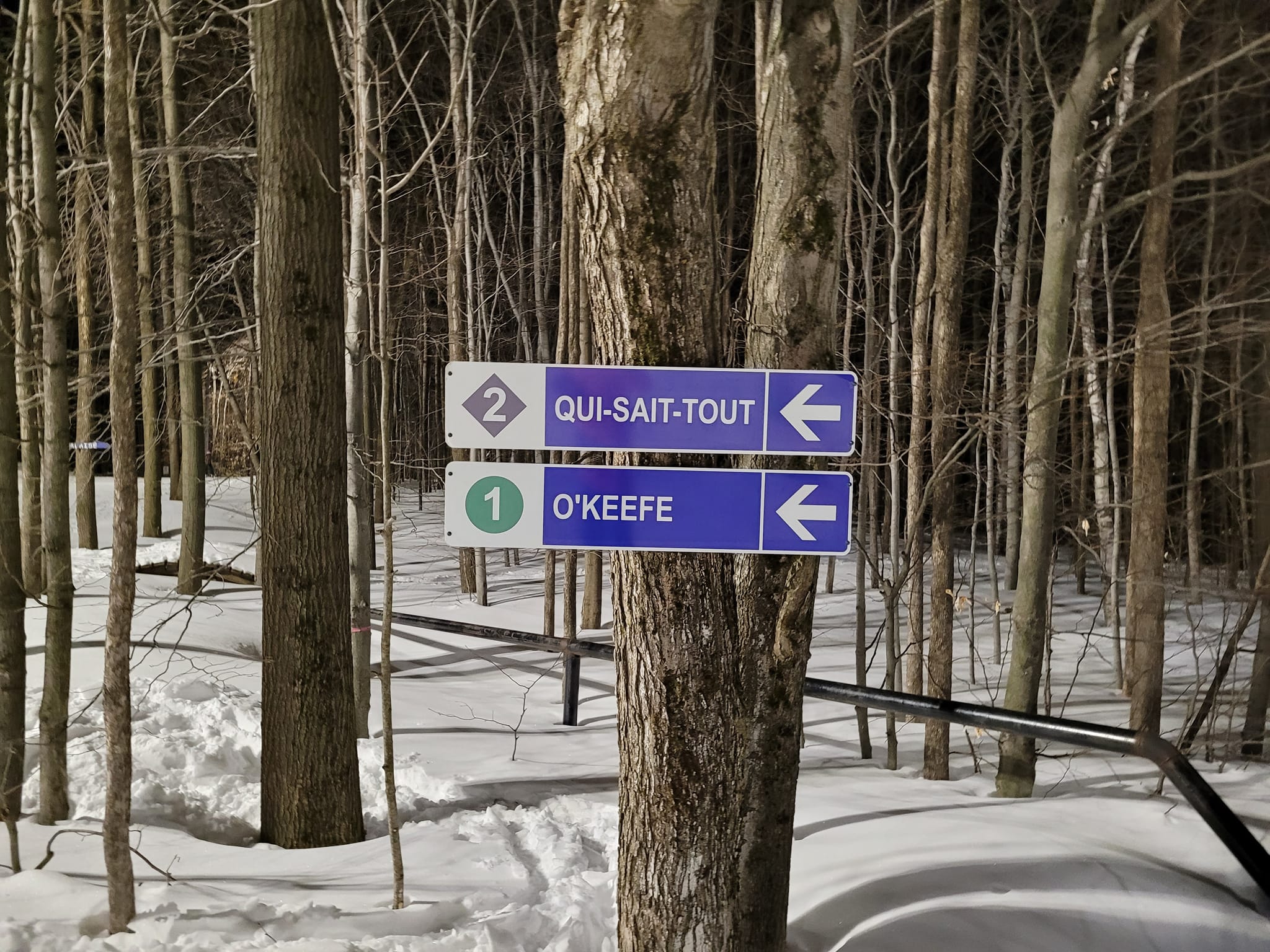 Mont Rigaud - On commence le week-end par un vendredi soir en ski