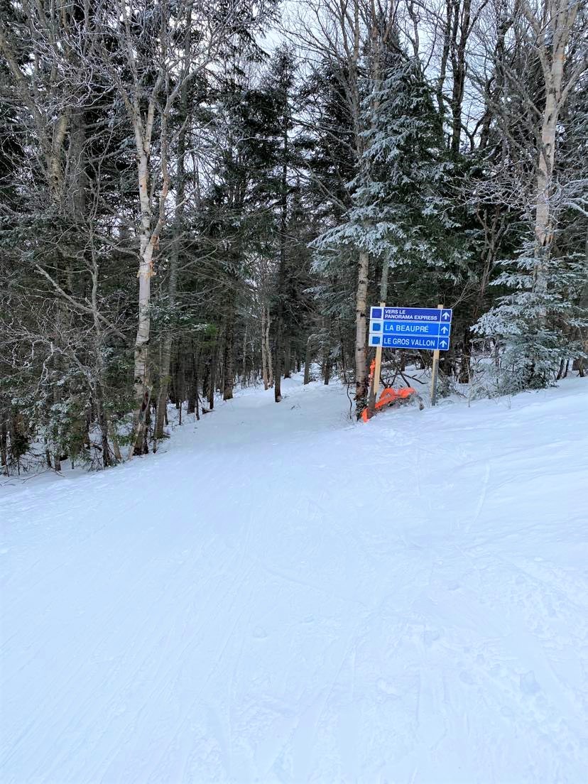 Mont Sainte-Anne - Le bon travail de équipe d'entretien