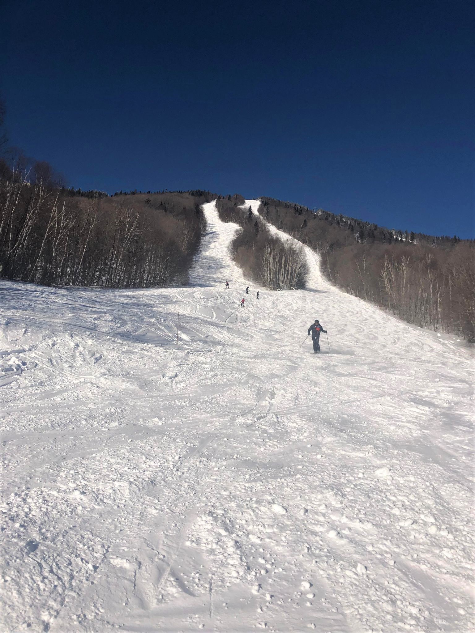 Mont Sainte-Anne - La glisse est superbe - Les pistes aux naturelles