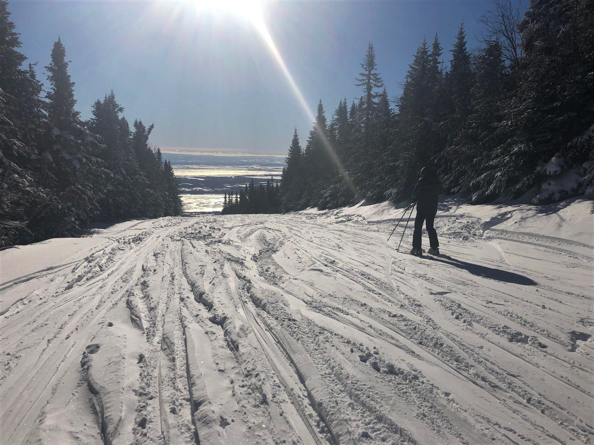 Mont Sainte-Anne - La glisse est superbe - Les pistes aux naturelles