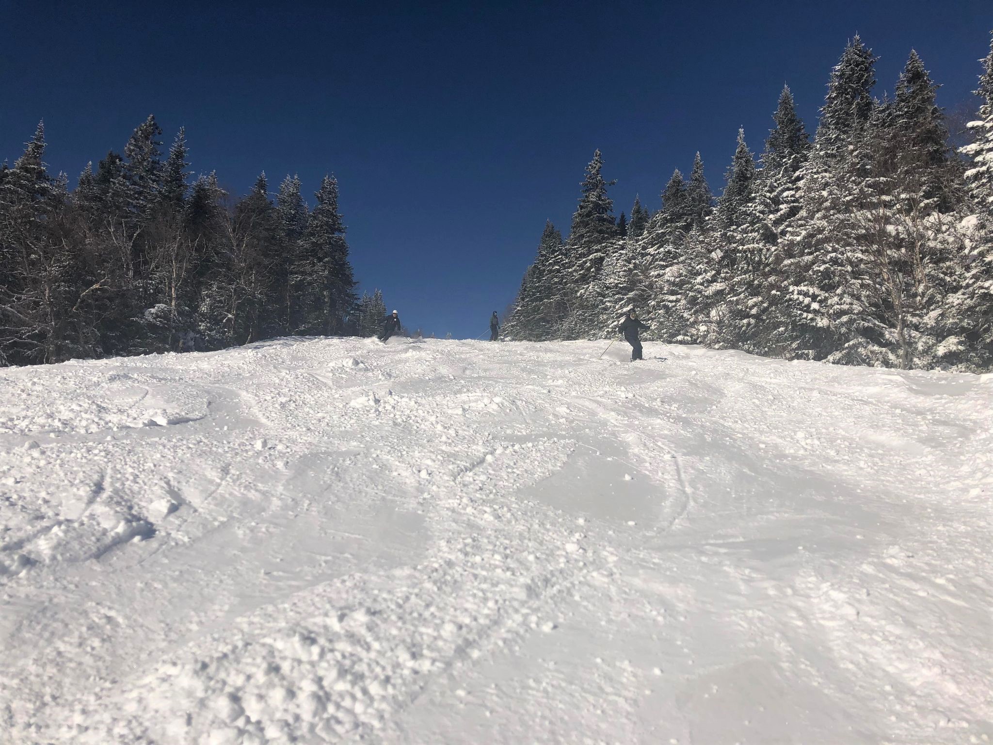 Mont Sainte-Anne - La glisse est superbe - Les pistes aux naturelles