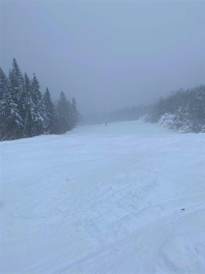 Mont Sainte-Anne - 15 cm de neige fraîchement tombée 